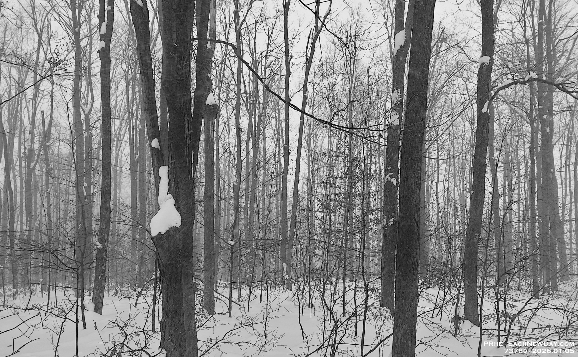 73780CrLeUsm - Snow falling on the West Ridge Trails